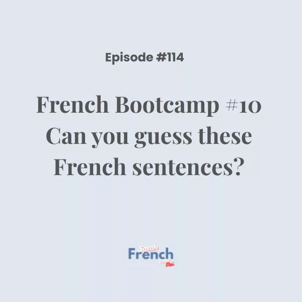 French Bootcamp #10: Can you guess these French sentences?
