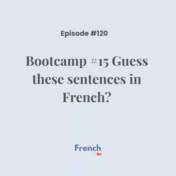 Bootcamp #15: Guess these sentences in French?