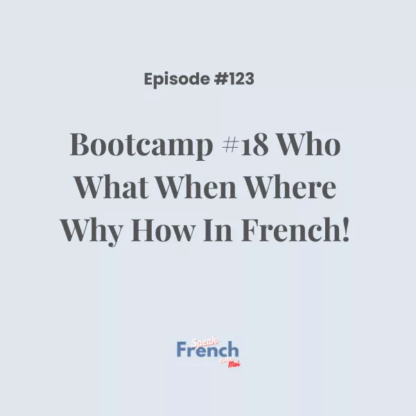 Bootcamp #18: Who What When Where Why How In French!